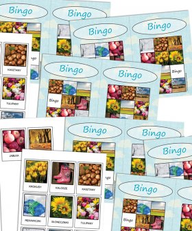Bingo - pory roku [PDF]