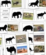 Dopasuj cień - zwierzęta Afryki [PDF]
