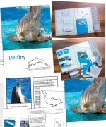 Lapbook - Delfiny [PDF]