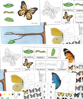 Motyle - pakiet [PDF]