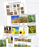 Polskie rośliny uprawne [PDF]
