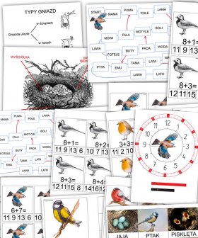 Program Montessori - Ptaki [PDF]