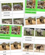 Zwierzęta Afryki - karty trójdzielne [PDF]