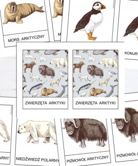 Zwierzęta Arktyki - karty trójdzielne [PDF]