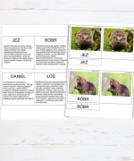 Zwierzęta Europy - karty trójdzielne [PDF]