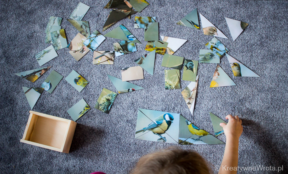 Program Montessori - Ptaki